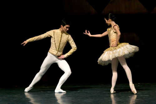 精品藝術(shù)齊綻放 白云機(jī)場(chǎng)迎新年文藝演出即將盛大啟幕